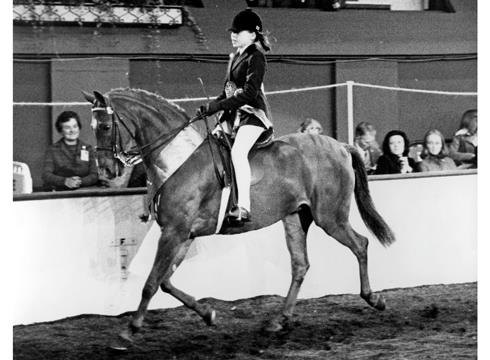 Holly Of Spring at HOYS